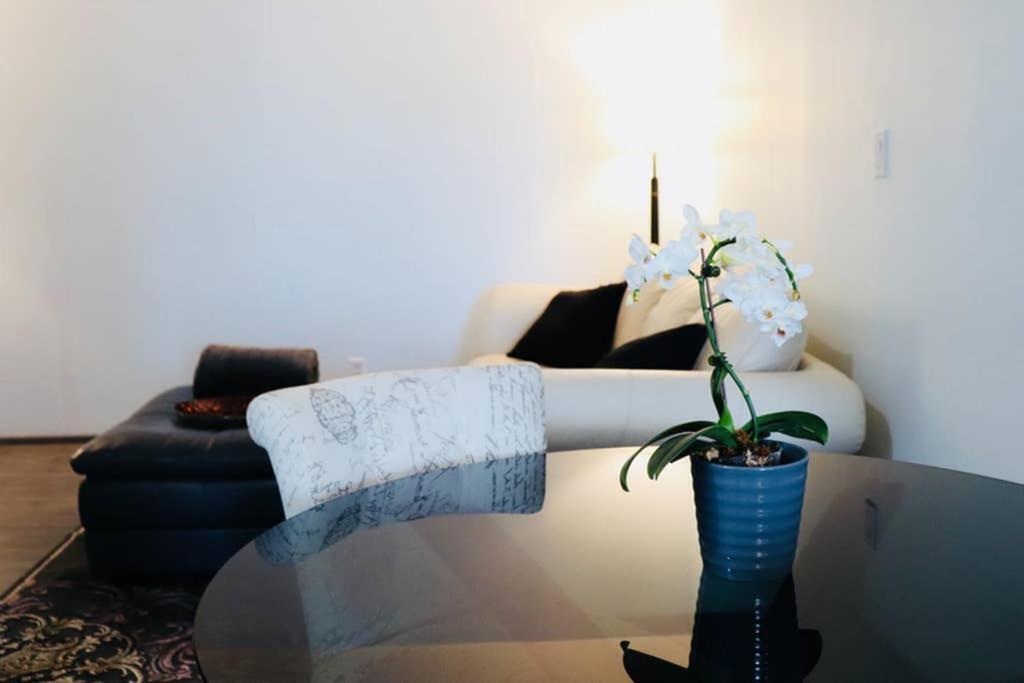 Sun Dog Manor Apartment Maple Creek Bagian luar foto